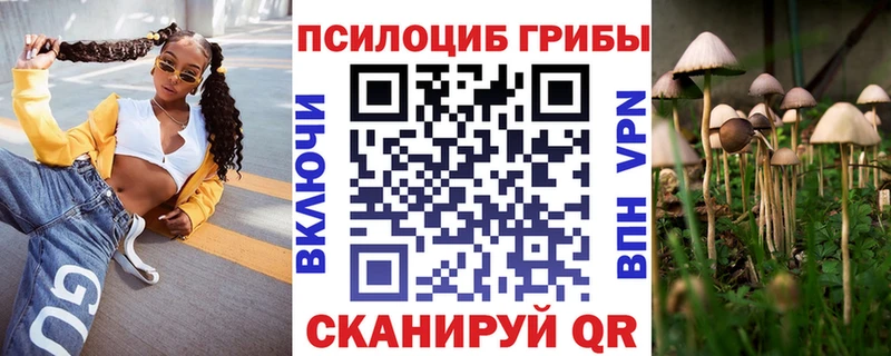 Псилоцибиновые грибы Psilocybe  Яровое 